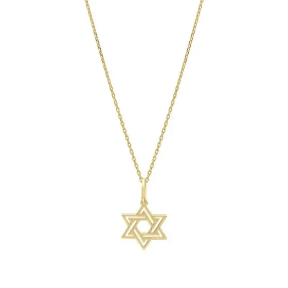 14k Gold Star of David necklace